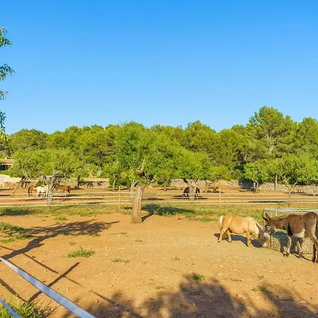 Gospodarstwo wiejskie Agroturismo Saigo Portocolom (Mallorca)