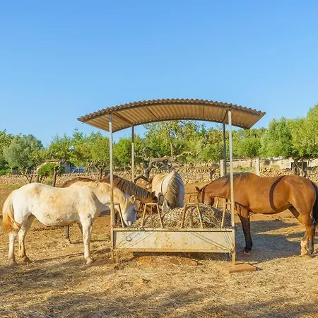 Agroturismo Saigo